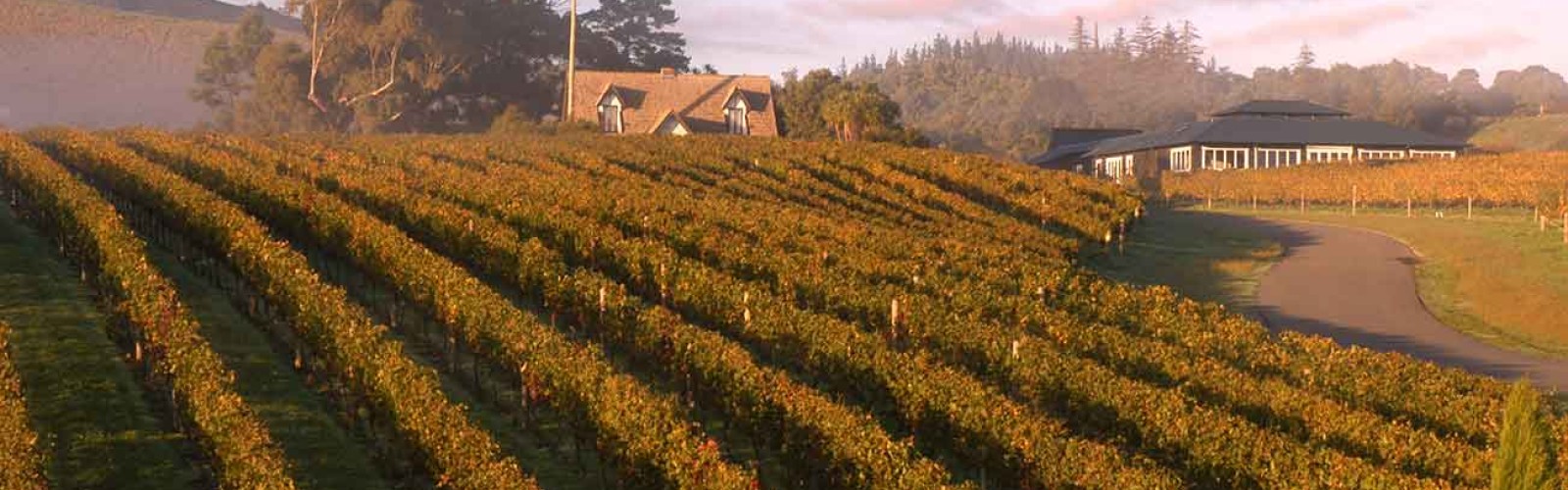 Enjoy an Award Winning Winery or Two!.